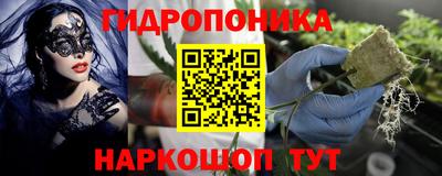 стаф Кунгур