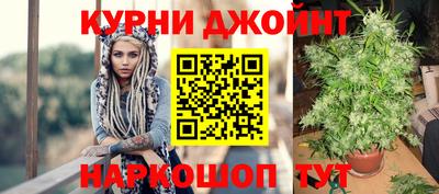 стаф Кунгур
