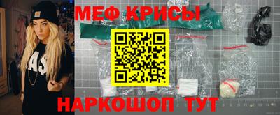 стаф Кунгур