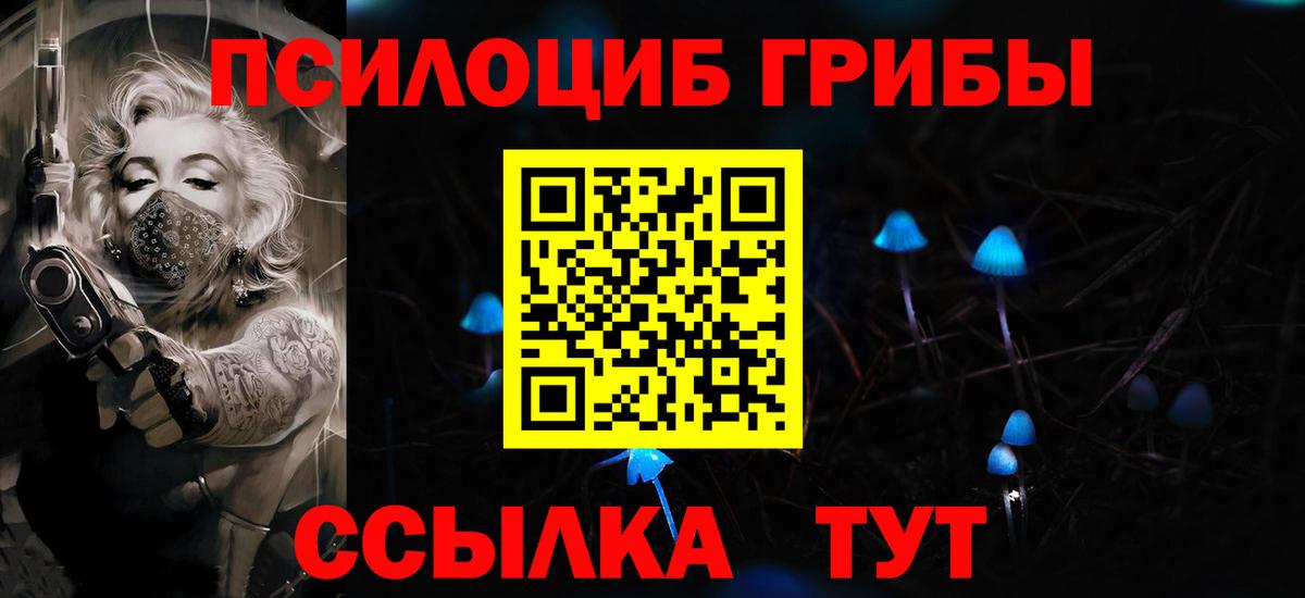 Псилоцибиновые грибы Psilocybe  Галлюциногенные грибы GOLDEN TEACHER  Грозный  Вход с VPN 